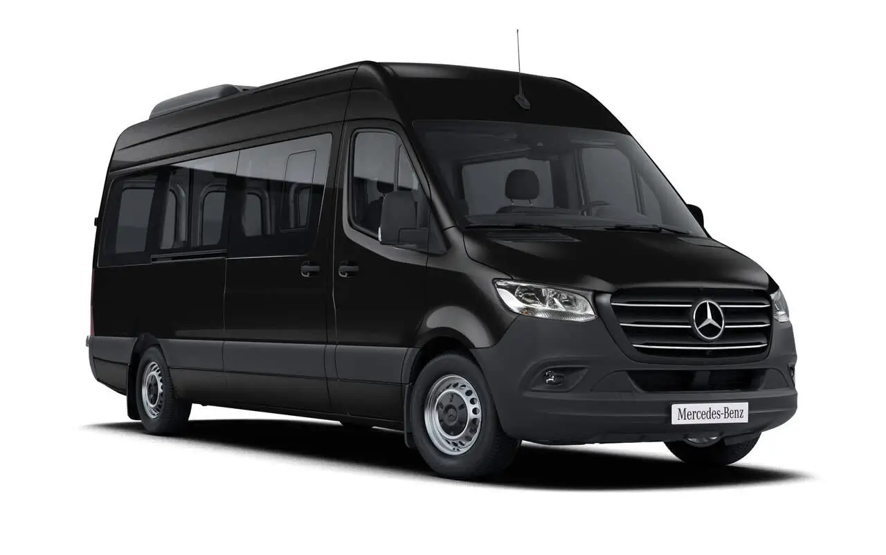 Executive Sprinter Van